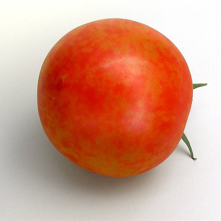 Pepino-mosaikkvirus